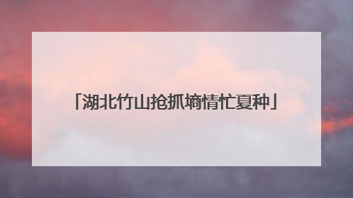 湖北竹山抢抓墒情忙夏种